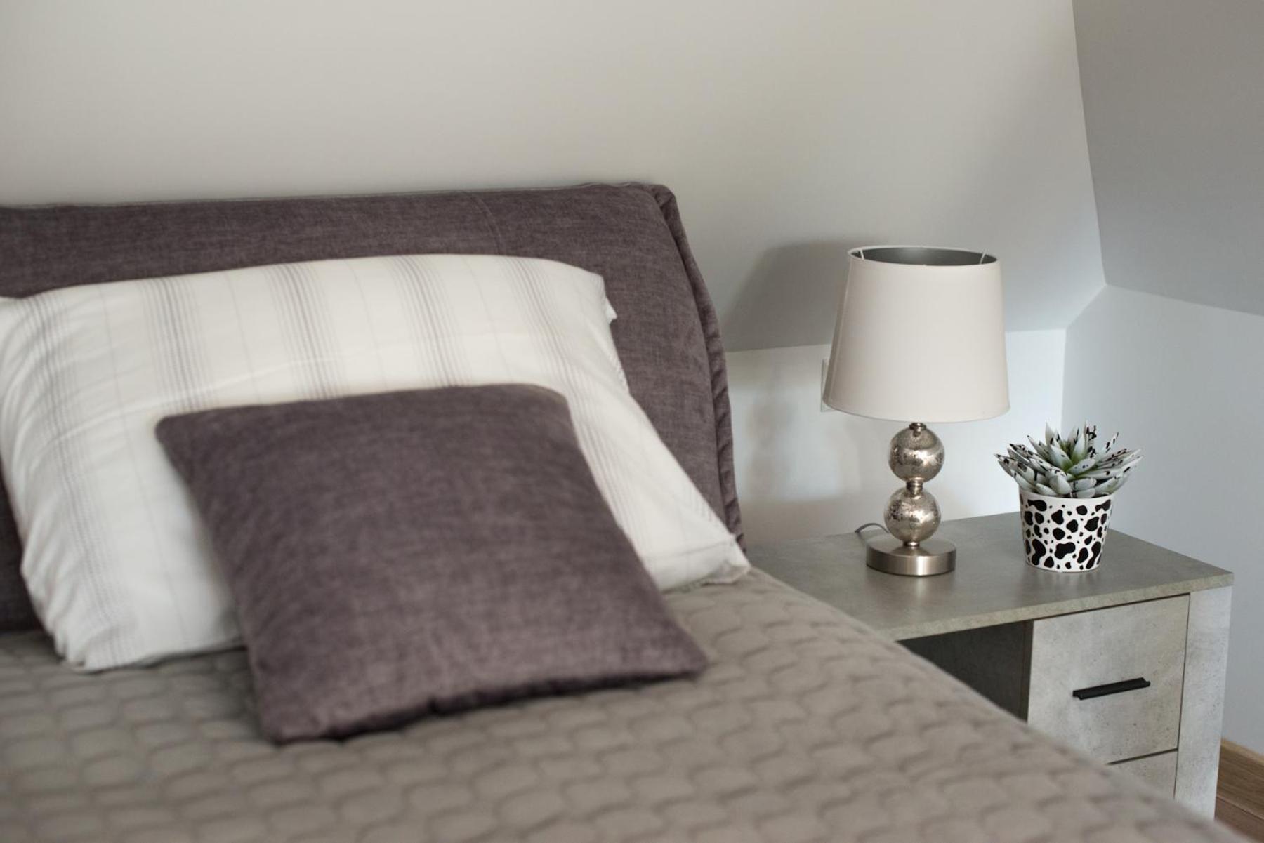 Petro Delux Apartments Каунас Екстериор снимка